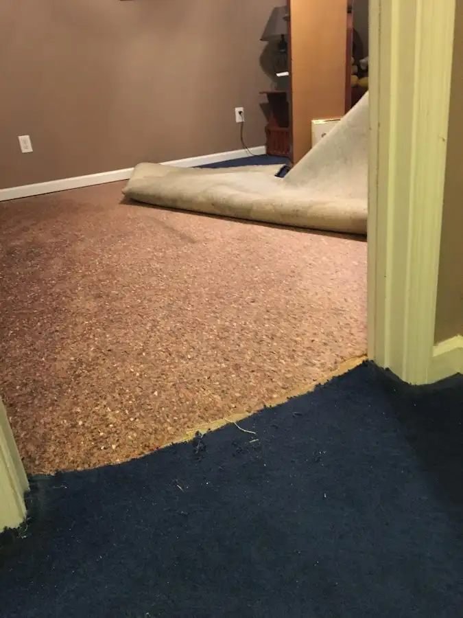 Carpet pad removal revealing water damage during Water Mitigation Services in California Polytechnic State University